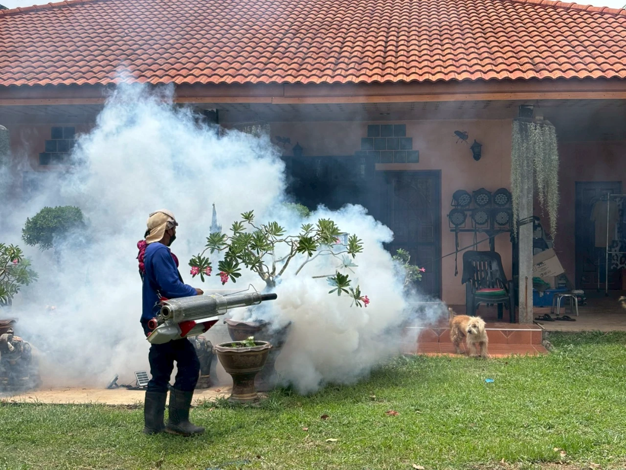 catalogs_file_111_10_7_497769.webp
