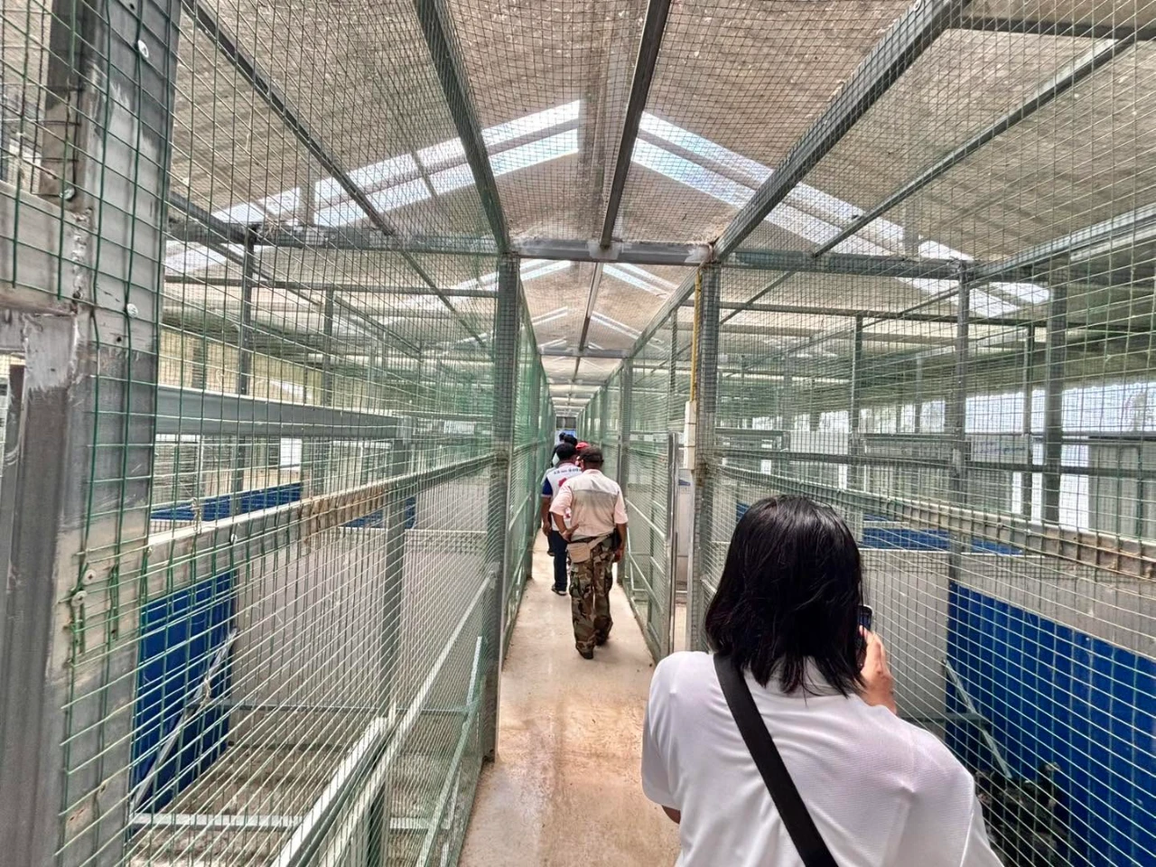 catalogs_file_144_59_58_124805.webp