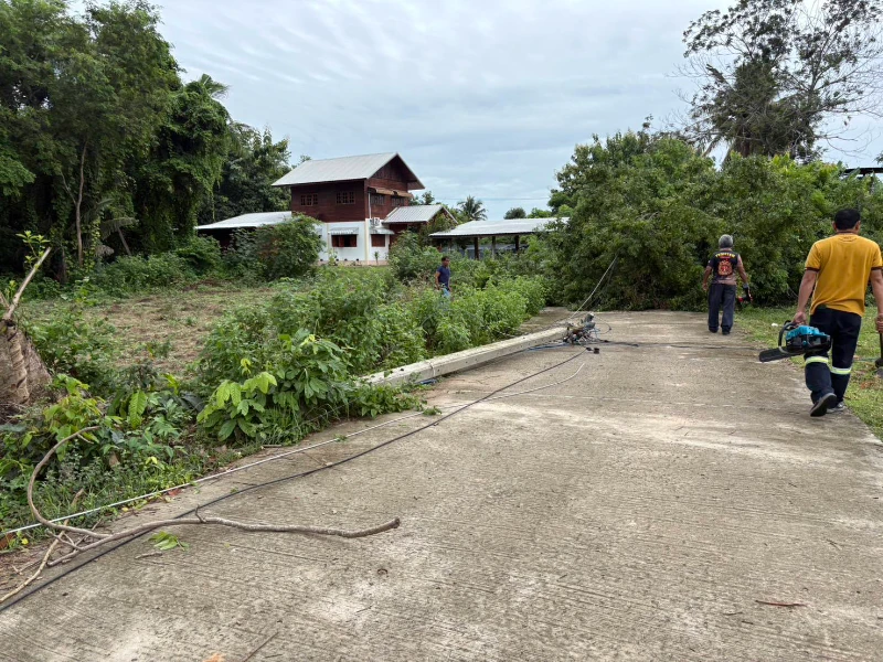 ต้นไม้ล้มทับสายไฟ หมู่8 ทีมงานป้องกัน กู้ชีพกู้ภัย กองช่าง พร้อมรับใช้ให้บริการประชาชน