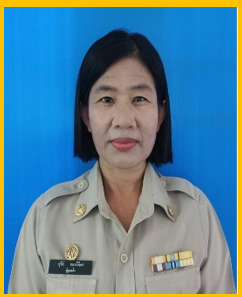 ไม่พบรูป