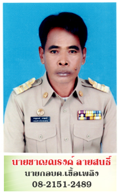 นายชาญณรงค์ ลายสนธ์